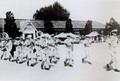 1964년 영천국민학교 운동회에서 축하연주공연을 하고 있는 육군3사관학교 군악대 썸네일 이미지